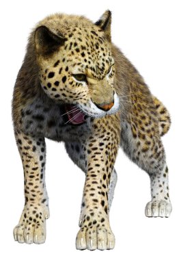 Beyaz arka planda izole edilmiş büyük bir kedi leoparının 3B görüntüsü