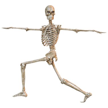 Beyaz arkaplanda izole edilmiş bir insan iskeletinin 3 boyutlu görüntülenmesi