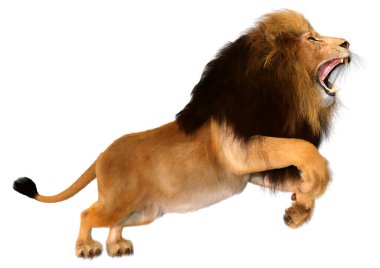 Beyaz arka planda izole edilmiş bir erkek aslanın 3 boyutlu görüntüsü
