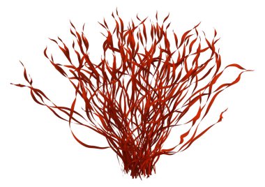 Beyaz arkaplanda izole edilmiş kırmızı bir aglaenin 3B görüntülemesi