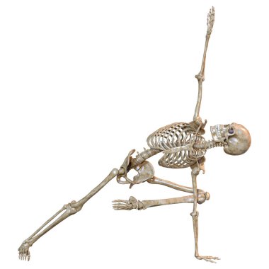 Beyaz arkaplanda izole edilmiş bir insan iskeletinin 3 boyutlu görüntülenmesi