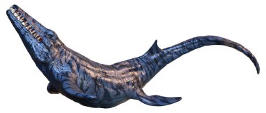 Bir Mosasaurus 'un 3 boyutlu yansıması, deniz yaratığı, tarih öncesi dinozor beyaz arka planda izole edilmiş.