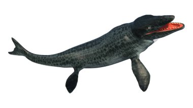 Soyu tükenmiş büyük bir deniz sürüngeni olan Mosasaur 'un üç boyutlu görüntüsü beyaz arka planda izole edildi.
