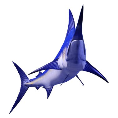 Beyaz arka plan üzerinde izole bir marlin balığı 3D render