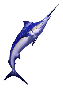 Beyaz arka plan üzerinde izole bir marlin balığı 3D render