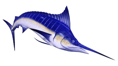 Beyaz arka plan üzerinde izole bir marlin balığı 3D render