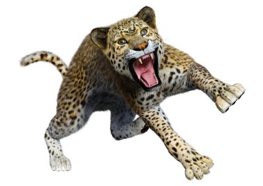Beyaz arka planda izole edilmiş büyük bir kedi leoparının 3B görüntüsü