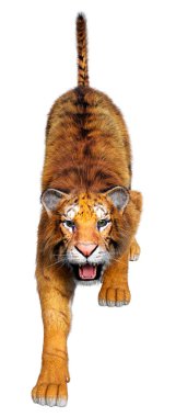 Beyaz arka planda izole edilmiş büyük bir kedi kaplanının 3 boyutlu görüntüsü