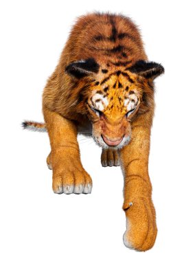 Beyaz arka planda izole edilmiş büyük bir kedi kaplanının 3 boyutlu görüntüsü