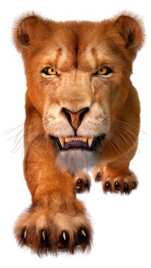 Beyaz arka planda izole edilmiş bir dişi aslanın 3 boyutlu görüntüsü