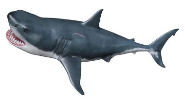 Beyaz arka planda izole edilmiş büyük beyaz köpekbalığının 3 boyutlu görüntüsü
