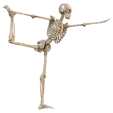 Beyaz arkaplanda izole edilmiş bir insan iskeletinin 3 boyutlu görüntülenmesi