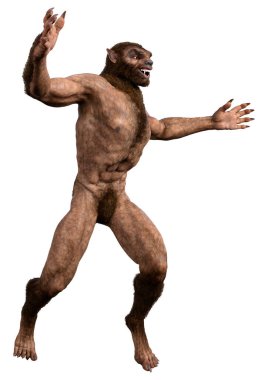 Beyaz arka planda 3 boyutlu bir kurt adam ya da Lycanthrope görüntüsü izole edilmiş.