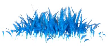 3D rendering of a blue fantasy alien grass isolated on white background