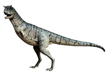 Üç boyutlu bir Carnotaurus Sastrei dinozoru ya da beyaz arka planda izole edilmiş et yiyen boğa tasviri.