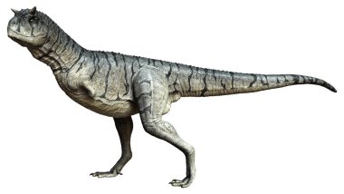 Üç boyutlu bir Carnotaurus Sastrei dinozoru ya da beyaz arka planda izole edilmiş et yiyen boğa tasviri.