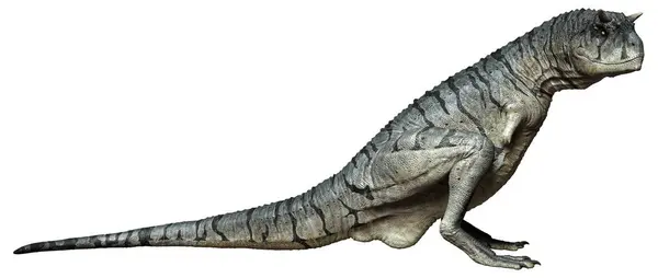 Representación Dinosaurio Carnotaurus Sastrei Toro Carnívoro Aislado Sobre Fondo Blanco Imagen De Stock