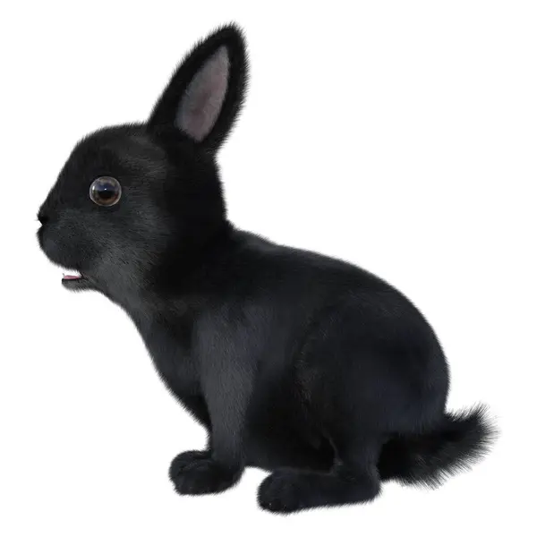 Рендеринг Черного Кролика Белом Фоне Стоковое Изображение