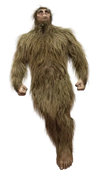 Απόδοση Ενός Sasquatch Bigfoot Απομονώνονται Λευκό Φόντο Εικόνα Αρχείου