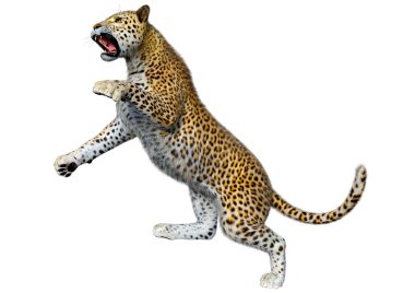 Beyaz arka planda izole edilmiş büyük bir kedi leoparının 3B görüntüsü