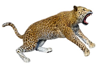 Beyaz arka planda izole edilmiş büyük bir kedi leoparının 3B görüntüsü
