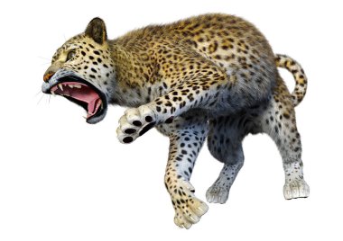 Beyaz arka planda izole edilmiş büyük bir kedi leoparının 3B görüntüsü