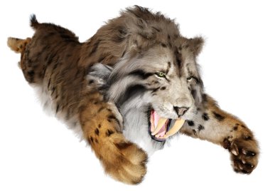 Üç boyutlu bir kılıç dişli kaplan bembeyaz arka planda izole edilmiş.