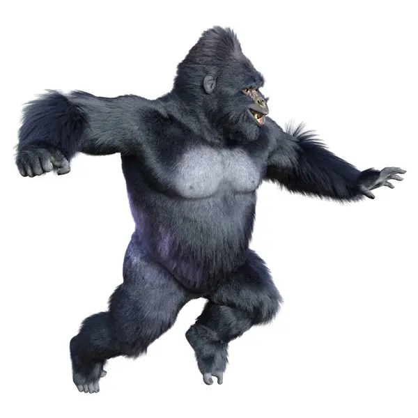 Vykreslení Černé Gorily Opice Izolované Bílém Pozadí Royalty Free Stock Fotografie