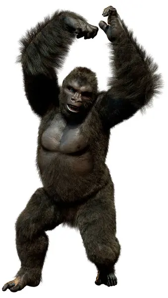 白色背景下孤立的黑色大猩猩猿的三维绘制 免版税图库图片