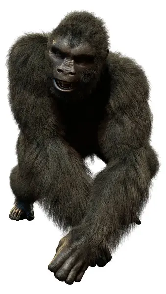 Rendering Black Gorilla Ape Isolated White Background Stock Photo