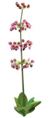 Beyaz arkaplanda izole edilmiş bir şamdanın 3 boyutlu canlandırması