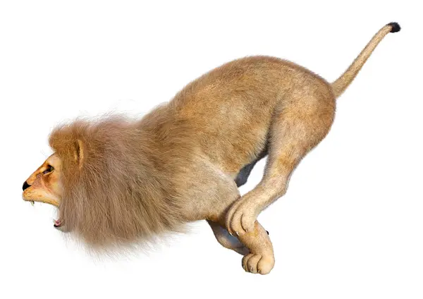 Darstellung Eines Männlichen Löwen Isoliert Auf Weißem Hintergrund lizenzfreie Stockbilder