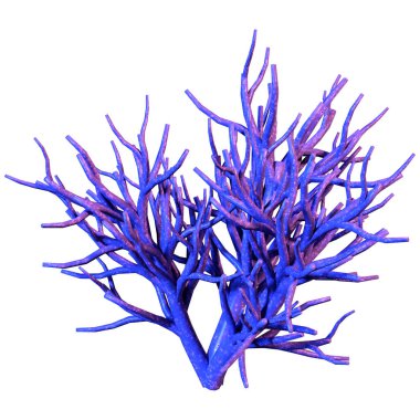 Bir mercanın 3 boyutlu görüntüsü, beyaz arka planda izole edilmiş bir deniz omurgasızı.