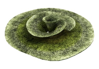 Masa mercanının 3 boyutlu görüntüsü, beyaz arka planda izole edilmiş bir deniz omurgasızı.