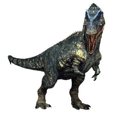 3D rendering of a dinosaur gigantosaurus isolated on white background