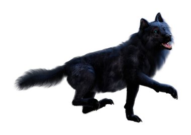 Beyaz arkaplanda izole edilmiş bir siyah kurdun 3D görüntüsü