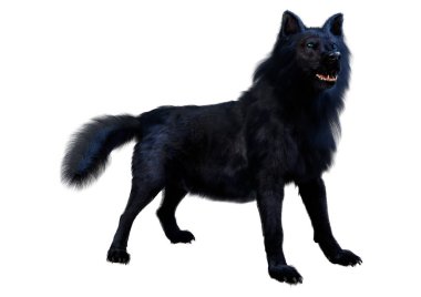 Beyaz arkaplanda izole edilmiş bir siyah kurdun 3D görüntüsü