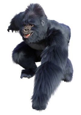 Beyaz arkaplanda izole edilmiş bir siyah goril görüntüsü