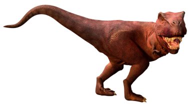 Beyaz zemin üzerinde izole edilmiş bir dinozor Tyrannosaurus Rex 'in 3D görüntüsü