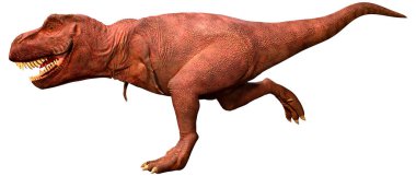 Beyaz zemin üzerinde izole edilmiş bir dinozor Tyrannosaurus Rex 'in 3D görüntüsü