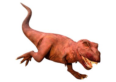 Beyaz zemin üzerinde izole edilmiş bir dinozor Tyrannosaurus Rex 'in 3D görüntüsü