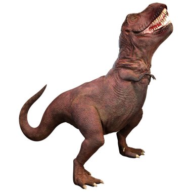 Beyaz zemin üzerinde izole edilmiş bir dinozor Tyrannosaurus Rex 'in 3D görüntüsü