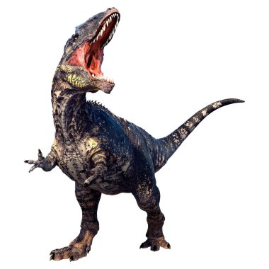 3D rendering of a dinosaur gigantosaurus isolated on white background