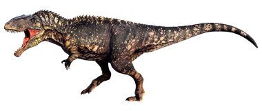 3D rendering of a dinosaur gigantosaurus isolated on white background