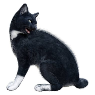 Beyaz arka planda izole edilmiş siyah evcil bir kedinin 3 boyutlu canlandırması