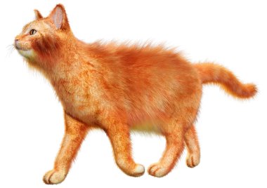 Beyaz arka planda izole edilmiş kırmızı evcil bir kedinin 3 boyutlu canlandırması