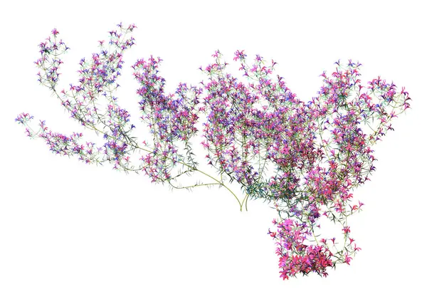 Beyaz arkaplanda izole edilmiş çiçek açan bir lobelia bitkisinin 3B görüntülenmesi