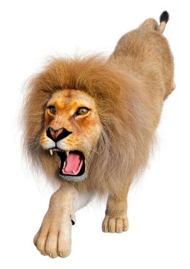 Beyaz arka planda izole edilmiş bir erkek aslanın 3 boyutlu görüntüsü