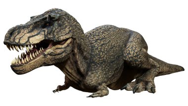 Beyaz arkaplanda izole edilmiş bir dinozor tyrannosaurus mcraeensis 'inin 3D görüntüsü
