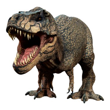 Beyaz arkaplanda izole edilmiş bir dinozor tyrannosaurus mcraeensis 'inin 3D görüntüsü